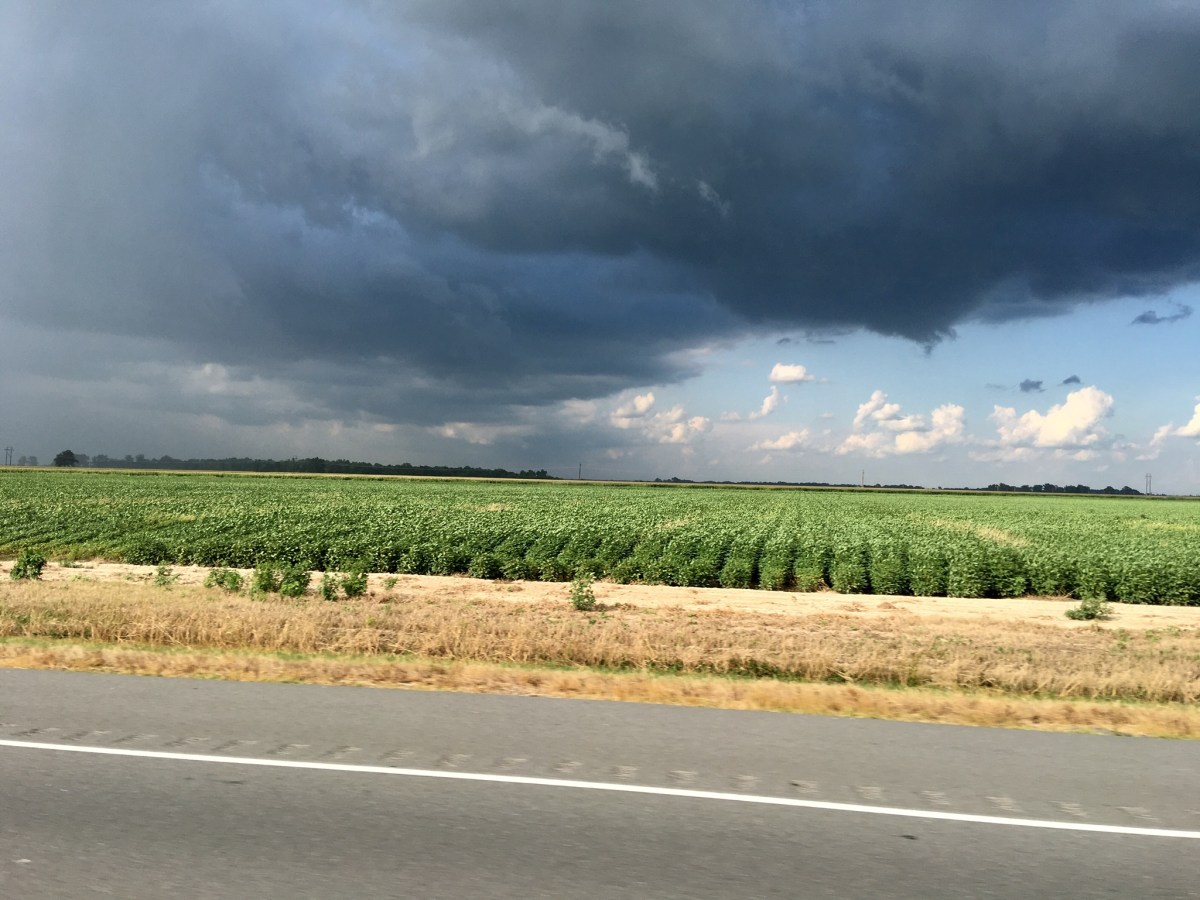 THE STORMS OF&nbsp;LIFE