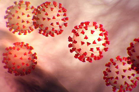 Who Do You&nbsp;Trust?